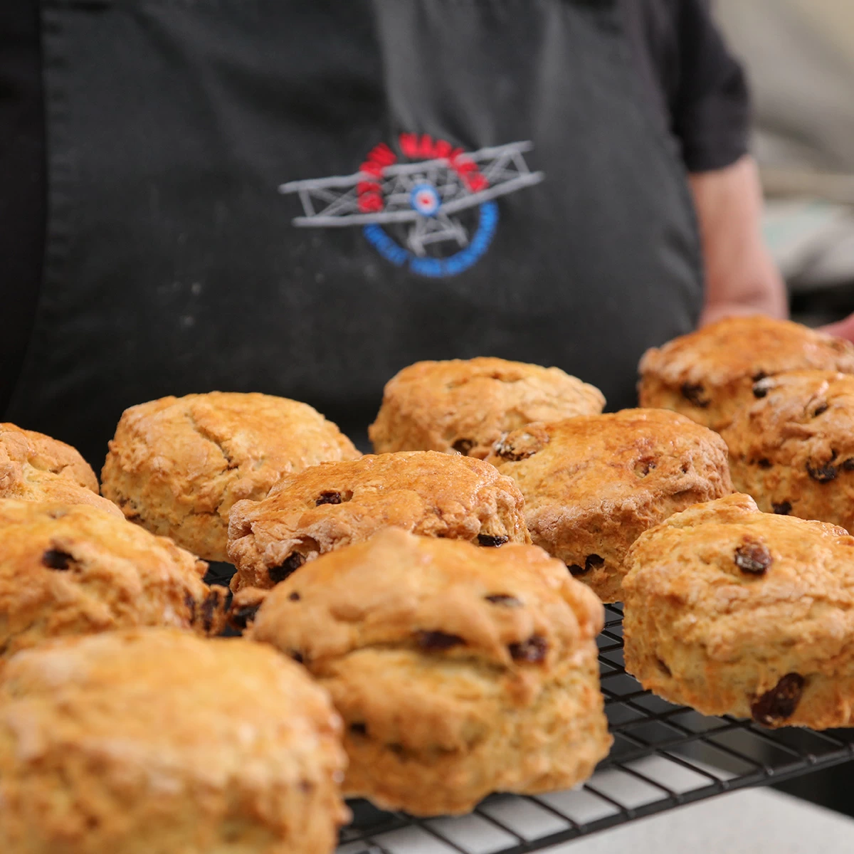 Freshly made scones